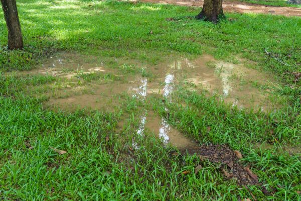 Cost of Storm Water Drainage Service in Bel Air