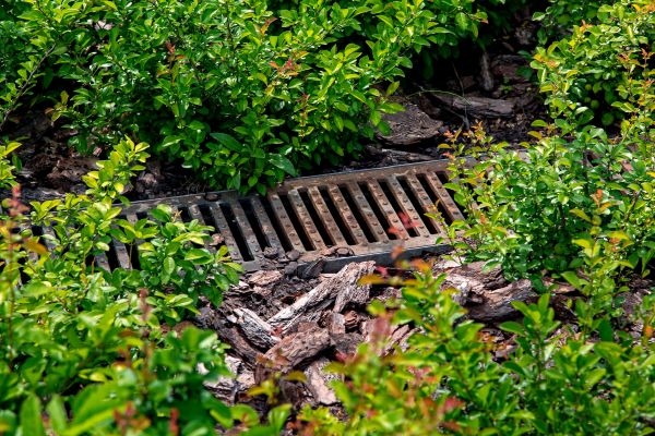 Cost of Underground Drainage Service in Bel Air