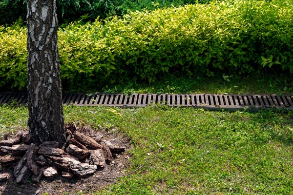 Cost of Yard Water Redirection in Bel Air