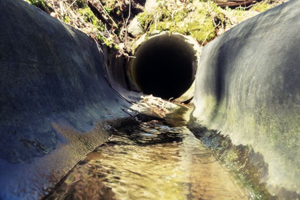 Cost of Drainage Swale Installation in Bel Air