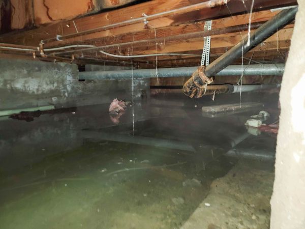 Cost of Crawlspace Drainage in Bel Air